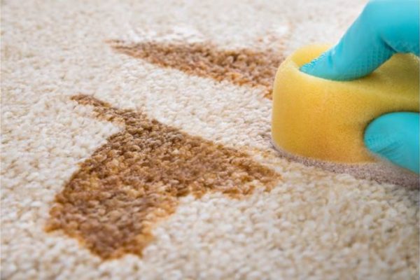 Benefits Of Stain Resistant Carpet Yarn