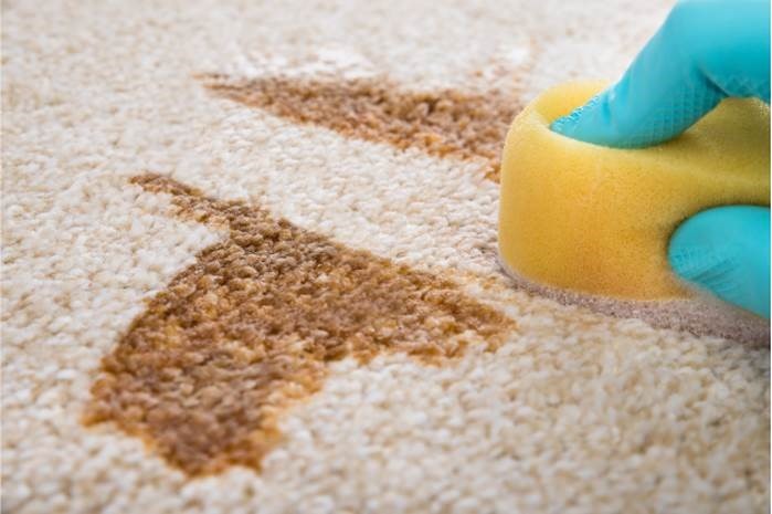 Benefits Of Stain Resistant Carpet Yarn