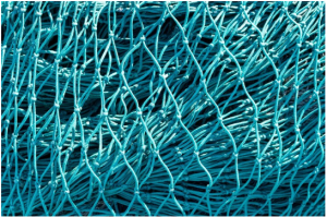 Fishing Nets: Select the Ideal Nylon Fishing Net with Filament Yarns