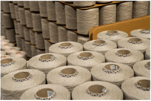 Cut Pile Vs Loop Pile Carpet